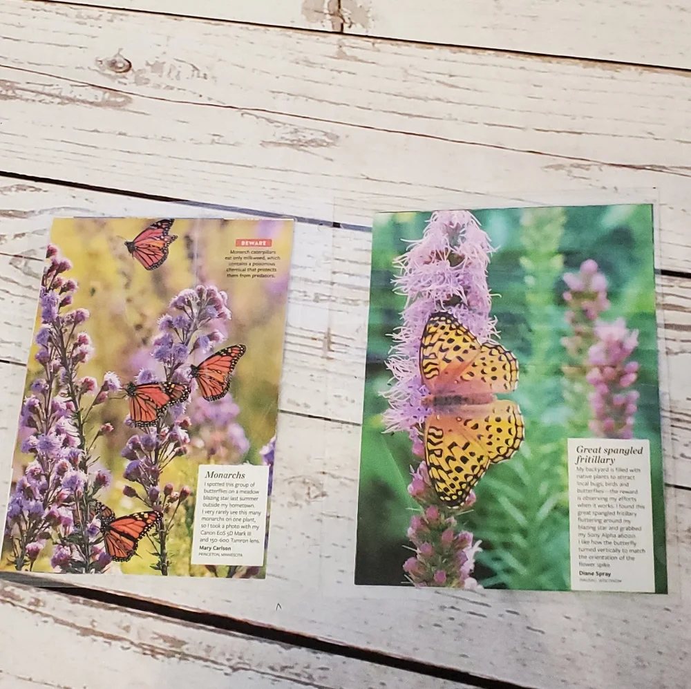 Handmade Cover For A Classic Sized Disc Bound Planner purple clematis, butterfly